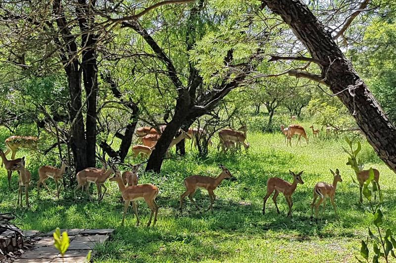 3 Bedroom Property for Sale in Vaalkop Dam North West